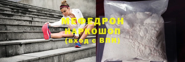 дмт Ельня