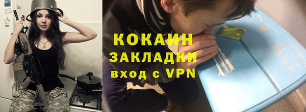 дмт Ельня