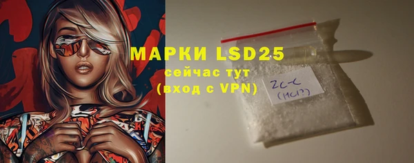 дмт Ельня