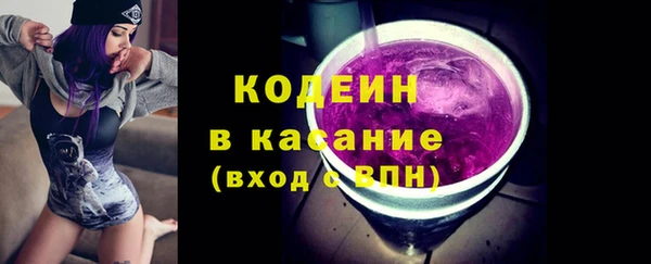 шишки Елабуга