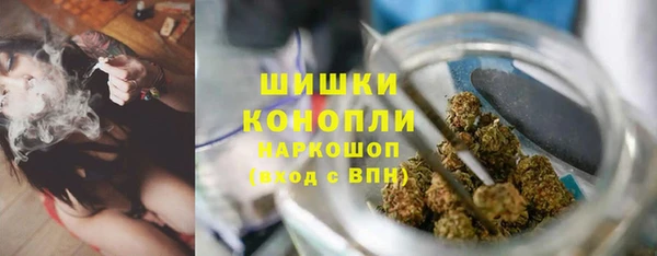 тгк Елизово