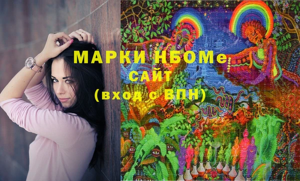 дмт Ельня