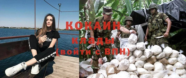 шишки Елабуга