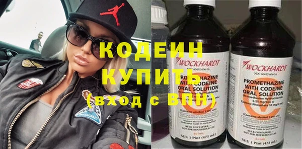 дмт Ельня