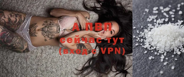 тгк Елизово