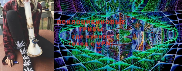 дмт Ельня