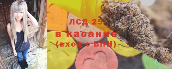 шишки Елабуга