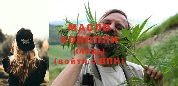 тгк Елизово