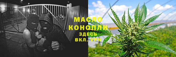 тгк Елизово