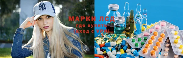дмт Ельня