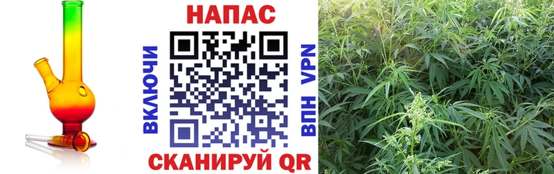 Канабис план  Сольцы 